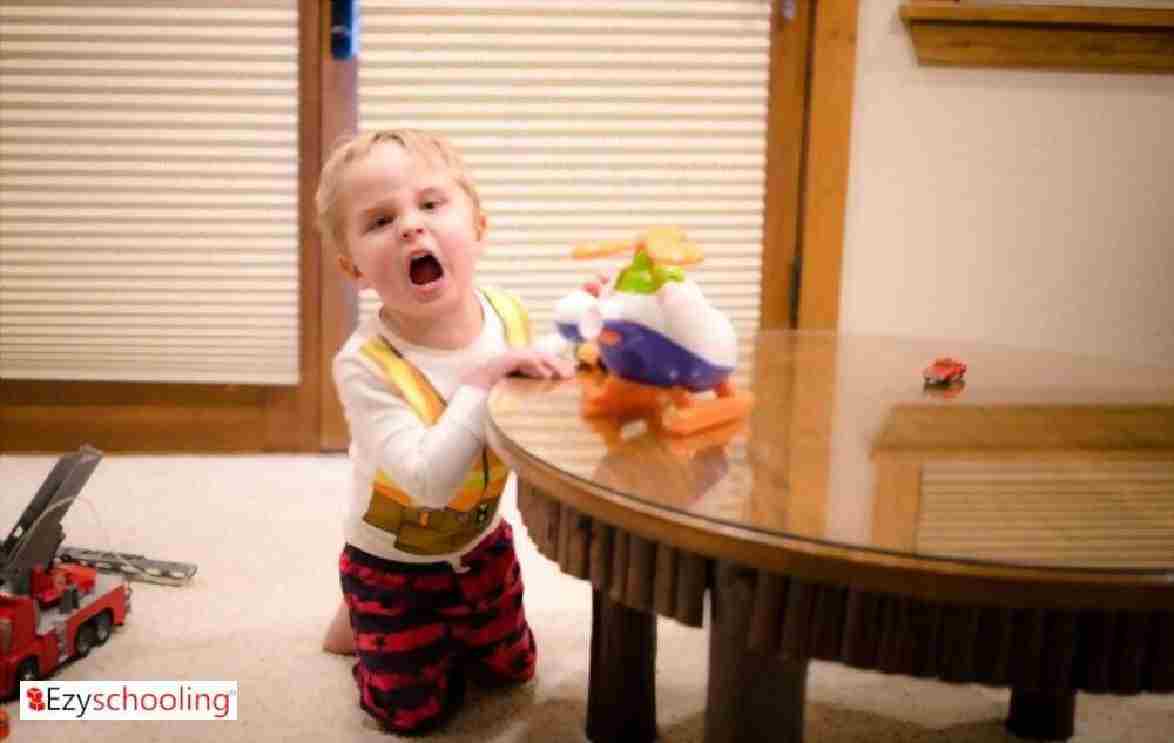 Why Toddler’s have tantrums The science behind it