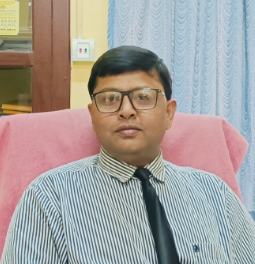 Mr. Palash Kumar Saha