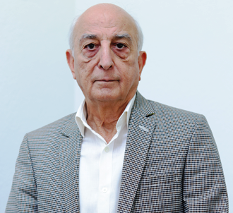 Shri V. K. Shunglu