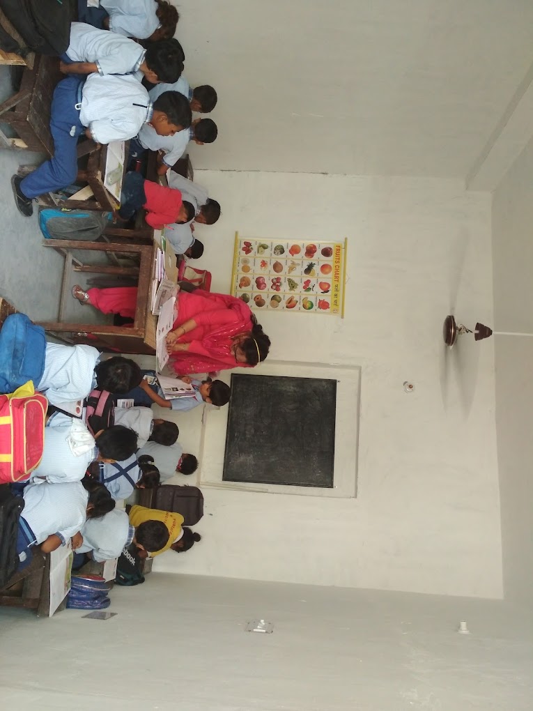 V.N Public School campus