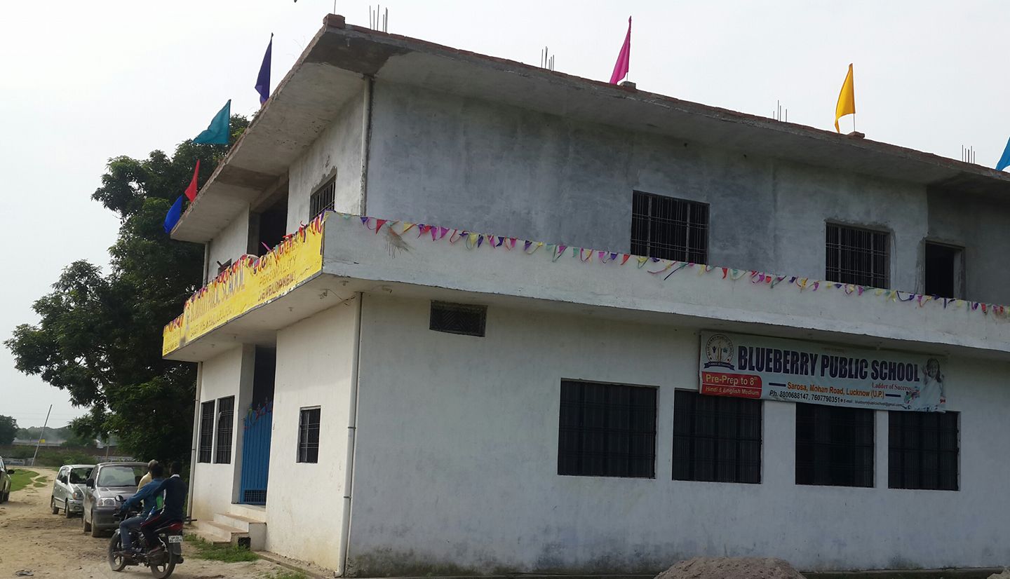 Blue Berry Public School school campus photo