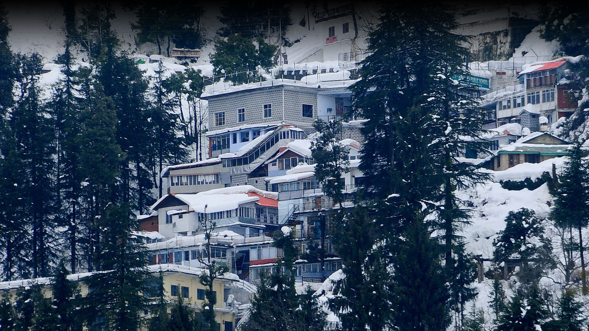 Guru Nanak Public School school campus photo