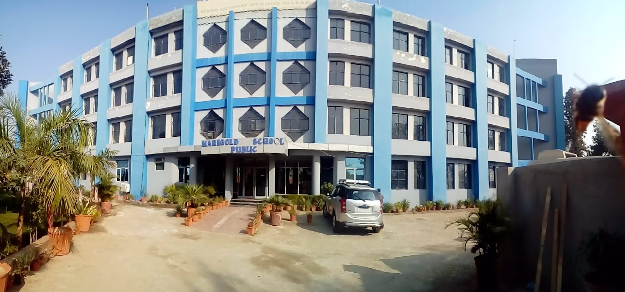 Marigold Public School school campus photo