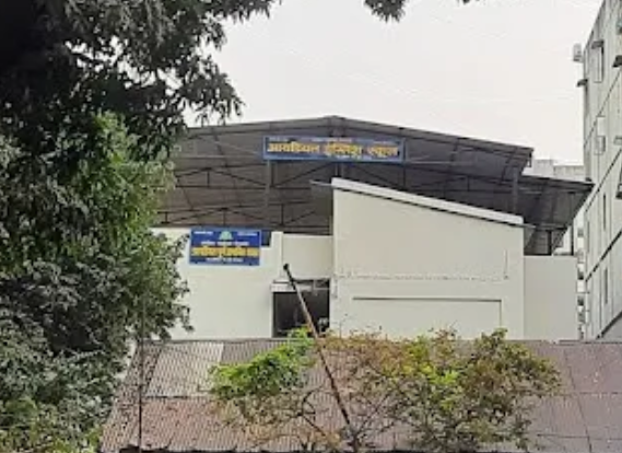 Ideal English School