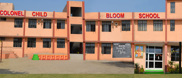 Colonel Child Bloom School school campus photo
