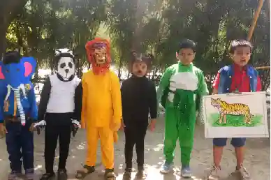 Metec International School 2