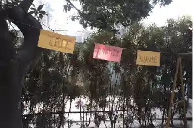 Metec International School 6