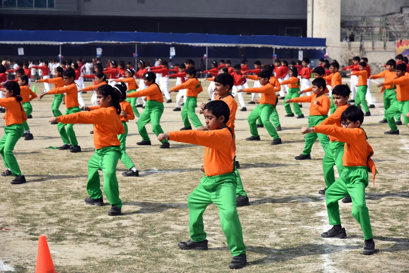 Delhi Public School Ruby Park 9