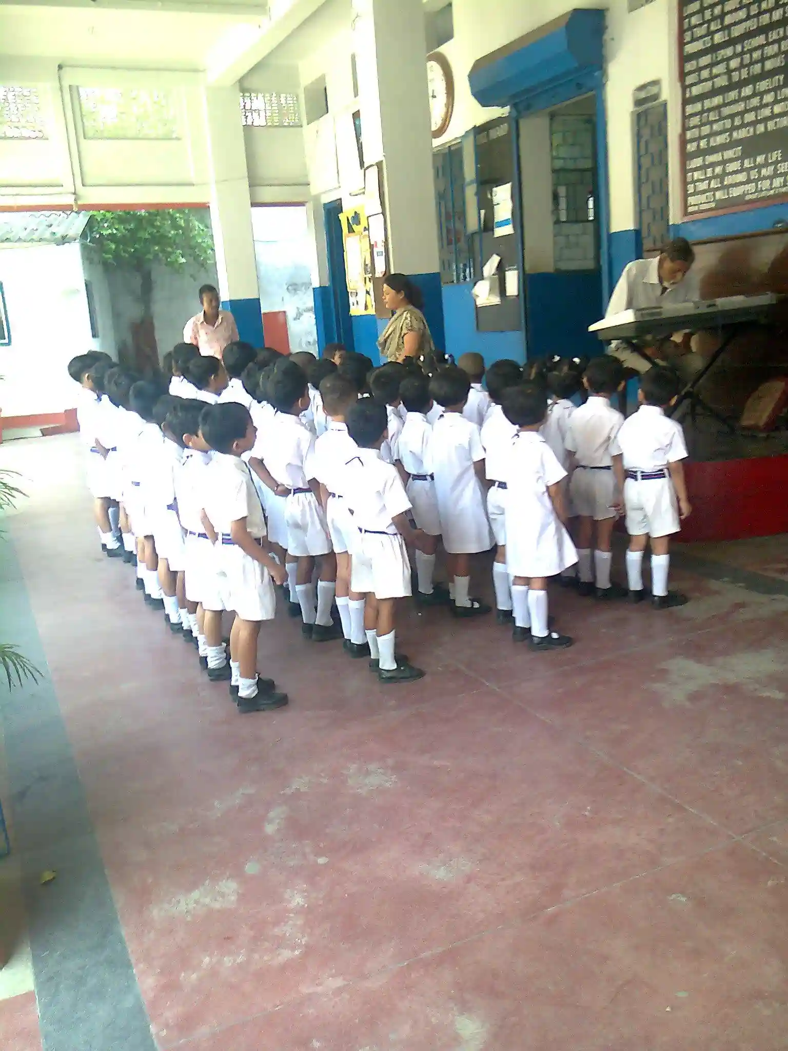 Albany Hall Public School 2