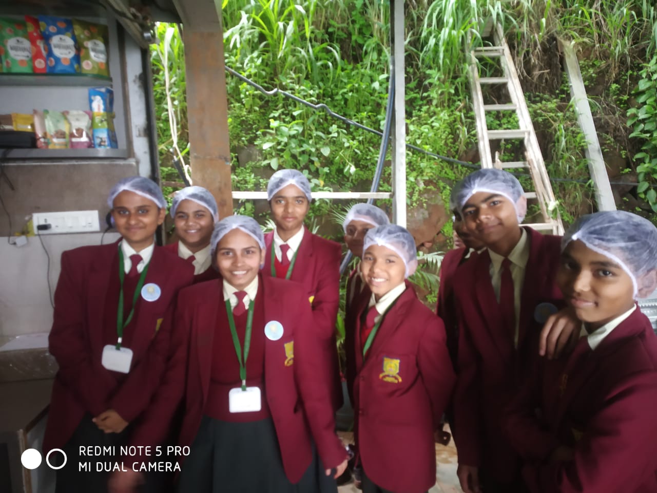 Green Valley School 12