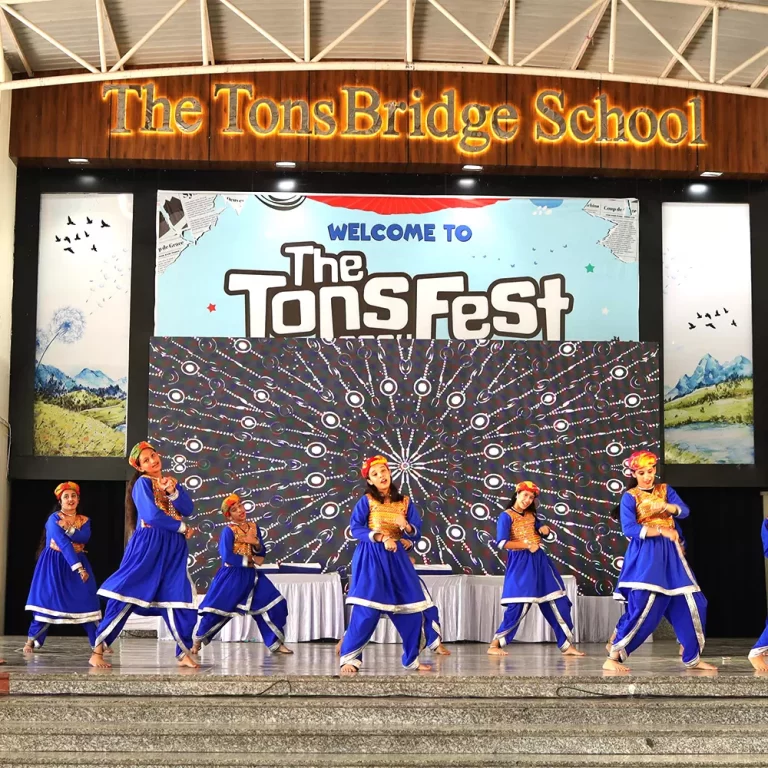The TonsBridge School 12