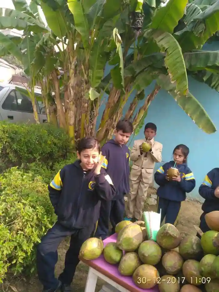 ACE Scholars International School 11