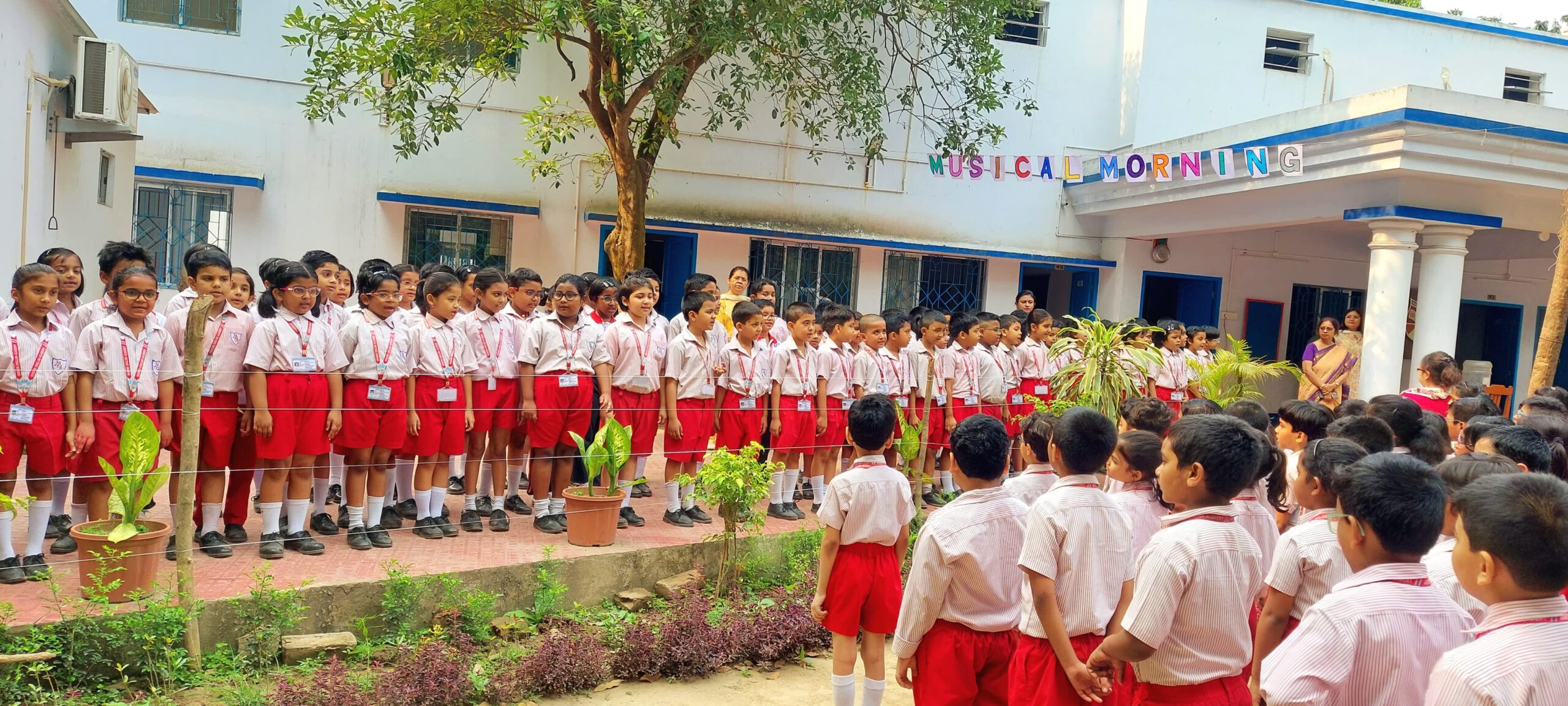 Modern English Academy 6