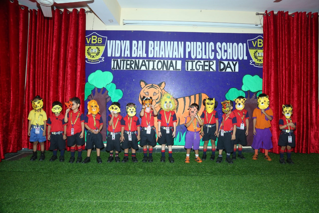 Vidya Bal Bhawan Public School 7