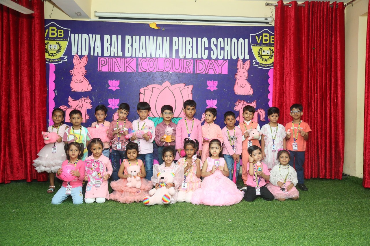 Vidya Bal Bhawan Public School 10