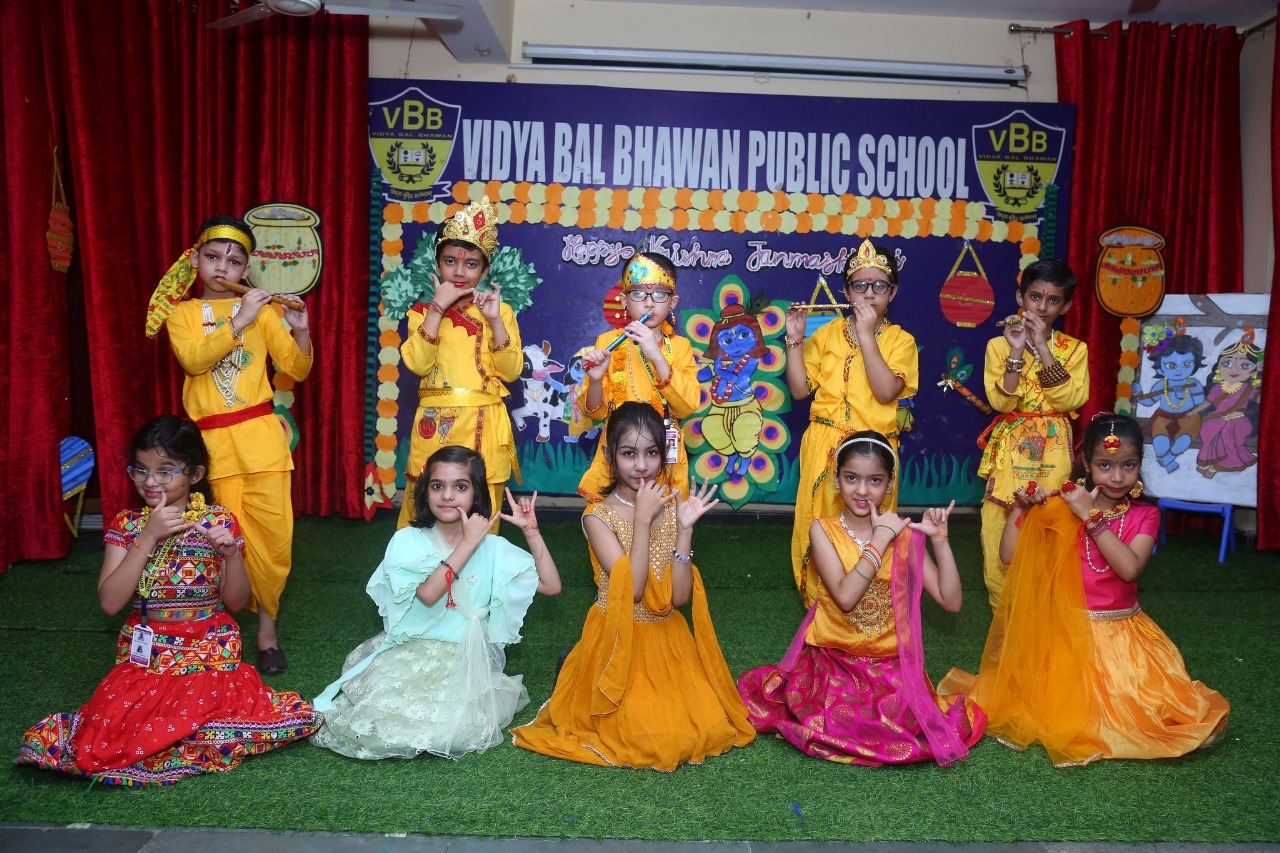 Vidya Bal Bhawan Public School 13