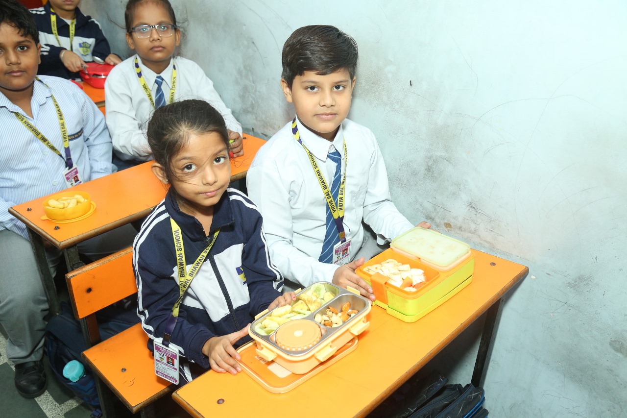 Vidya Bal Bhawan Public School 18