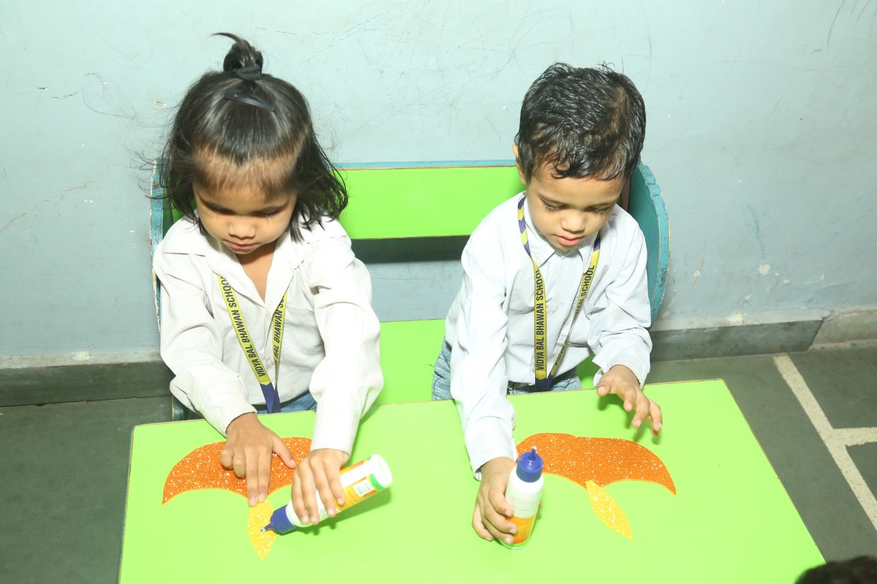 Vidya Bal Bhawan Public School 15
