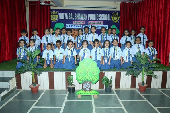 Vidya Bal Bhawan Public School 16