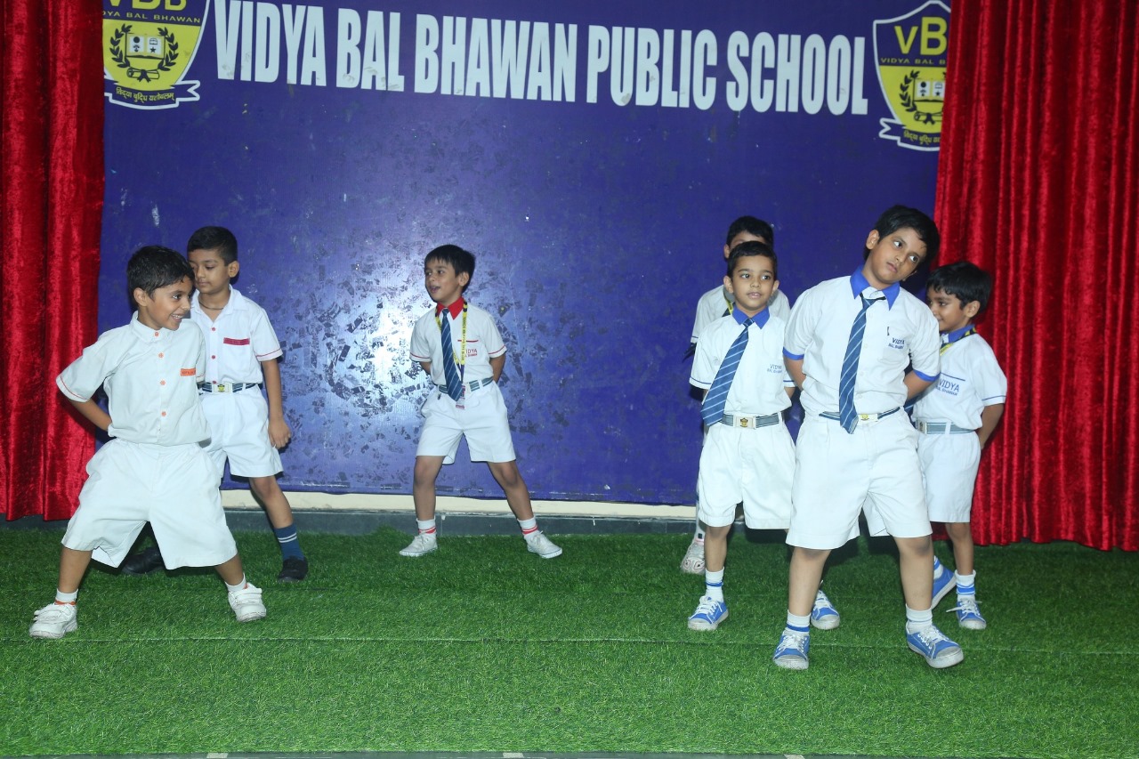 Vidya Bal Bhawan Public School 26