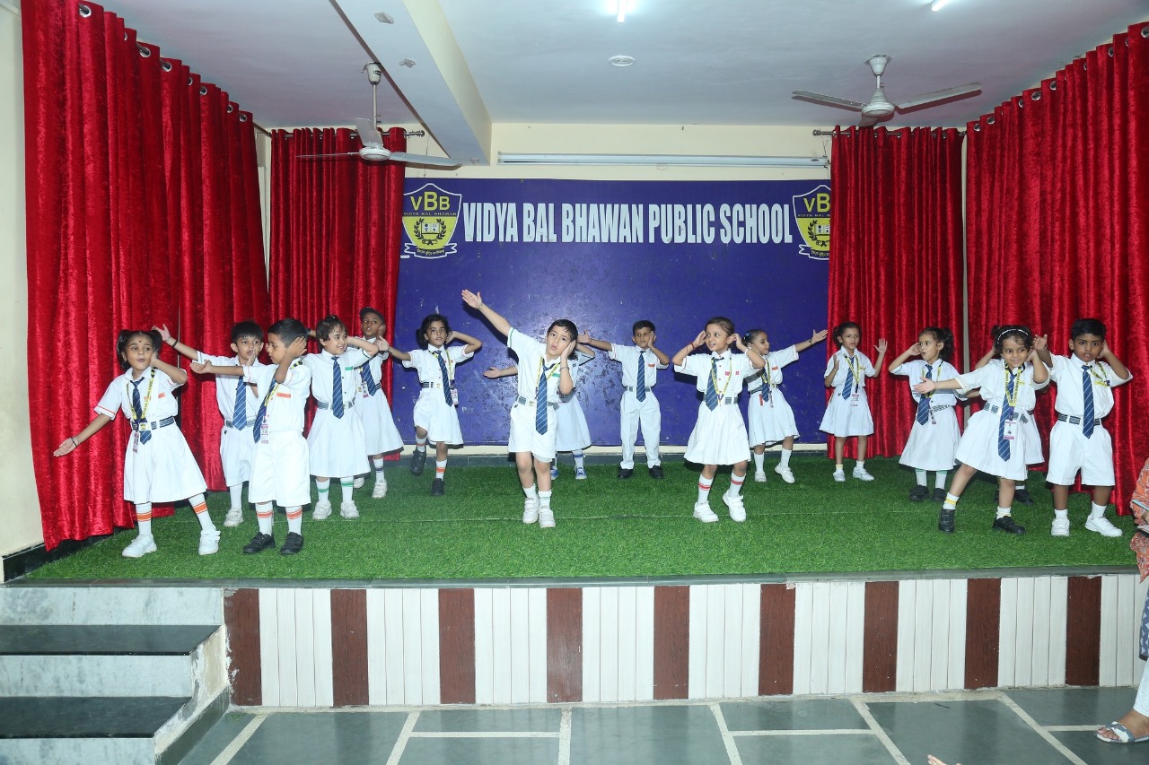 Vidya Bal Bhawan Public School 25
