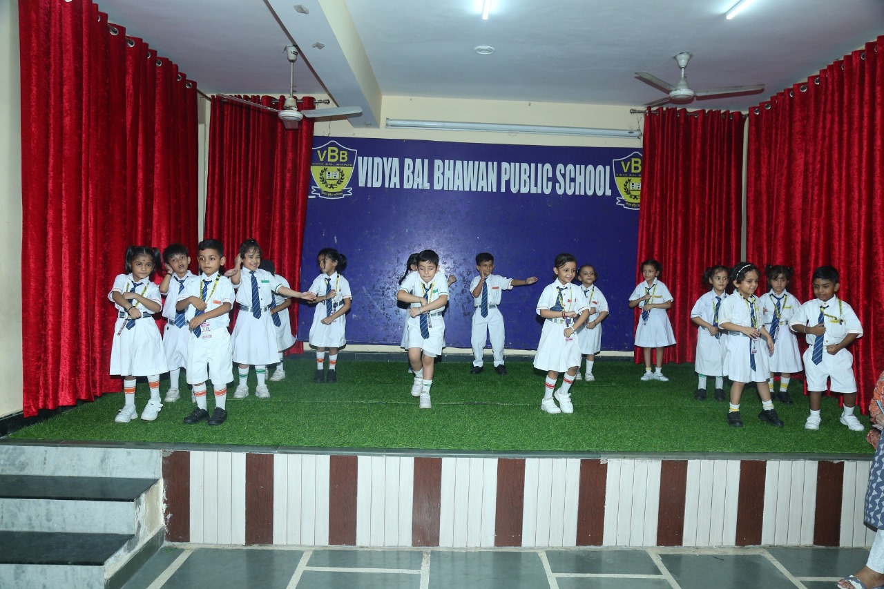 Vidya Bal Bhawan Public School 27
