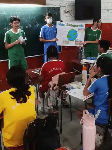 Maple Tree School 5