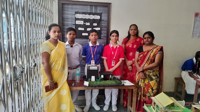 Green Land Public School 8