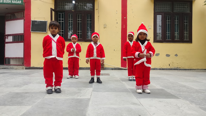 Green Land Public School 17