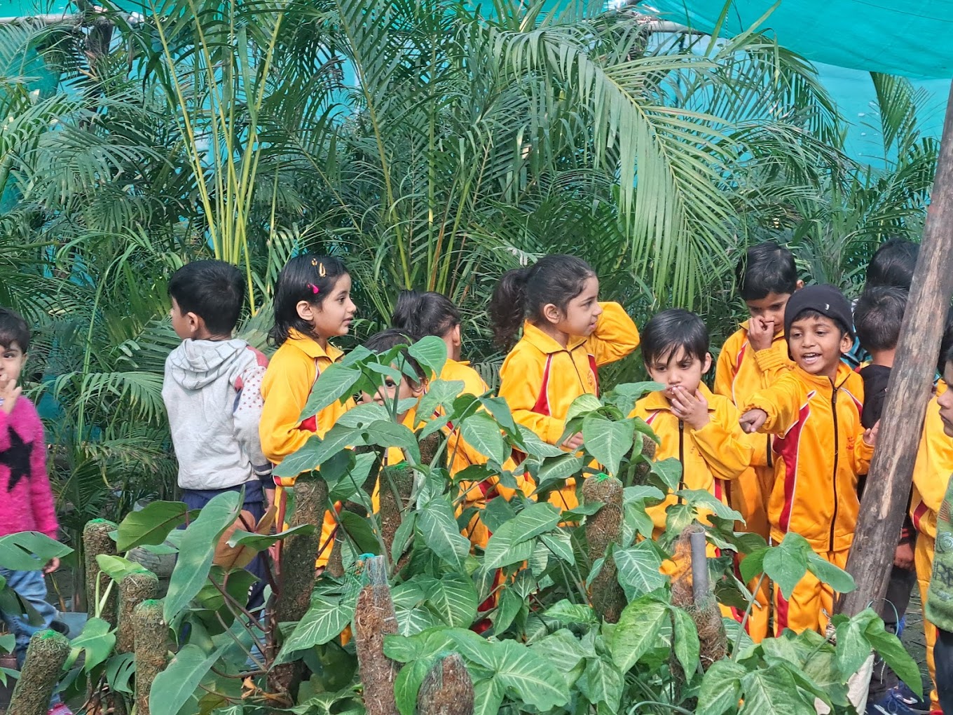 Kiddies Nursery School 4