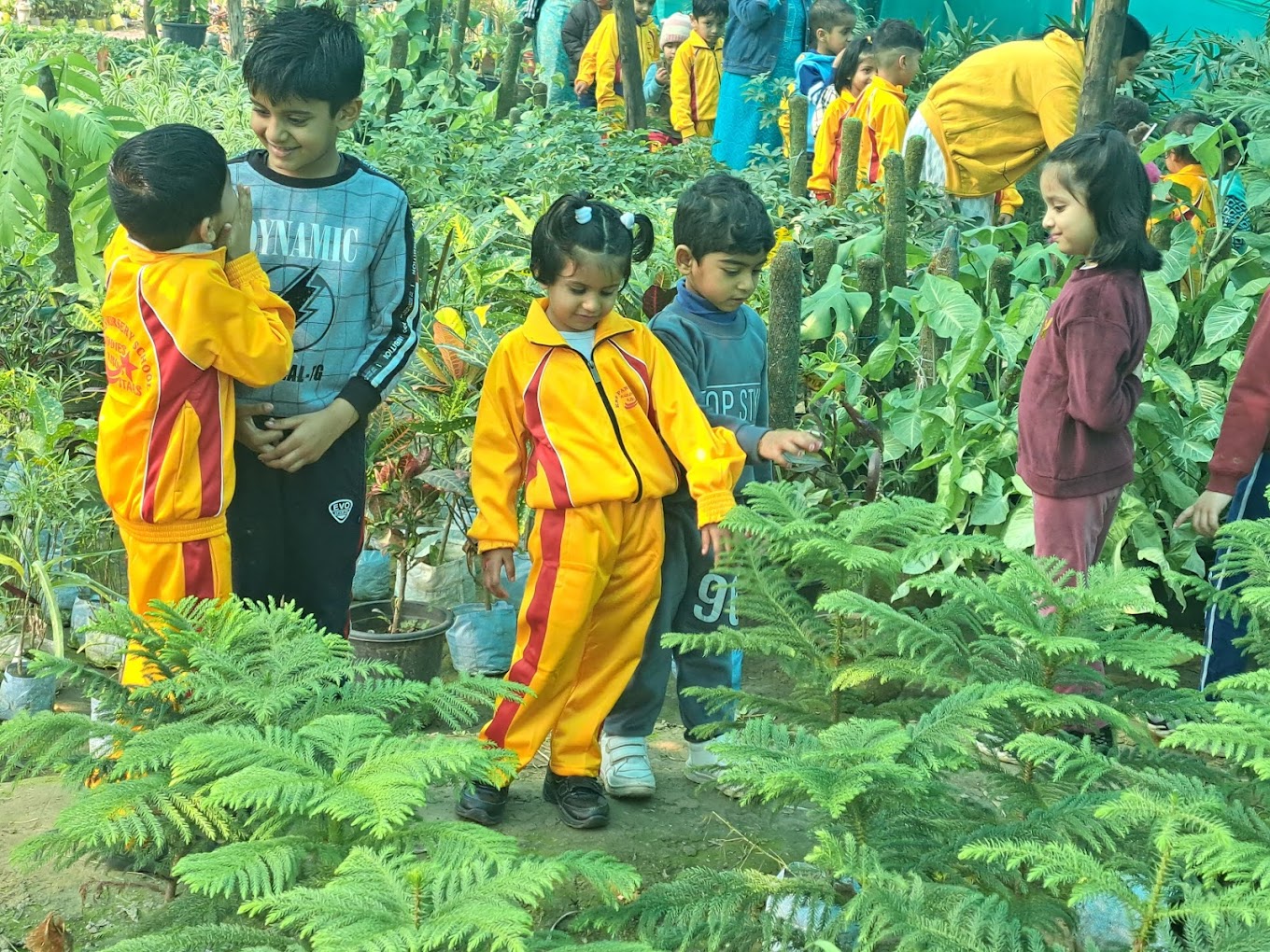 Kiddies Nursery School 6
