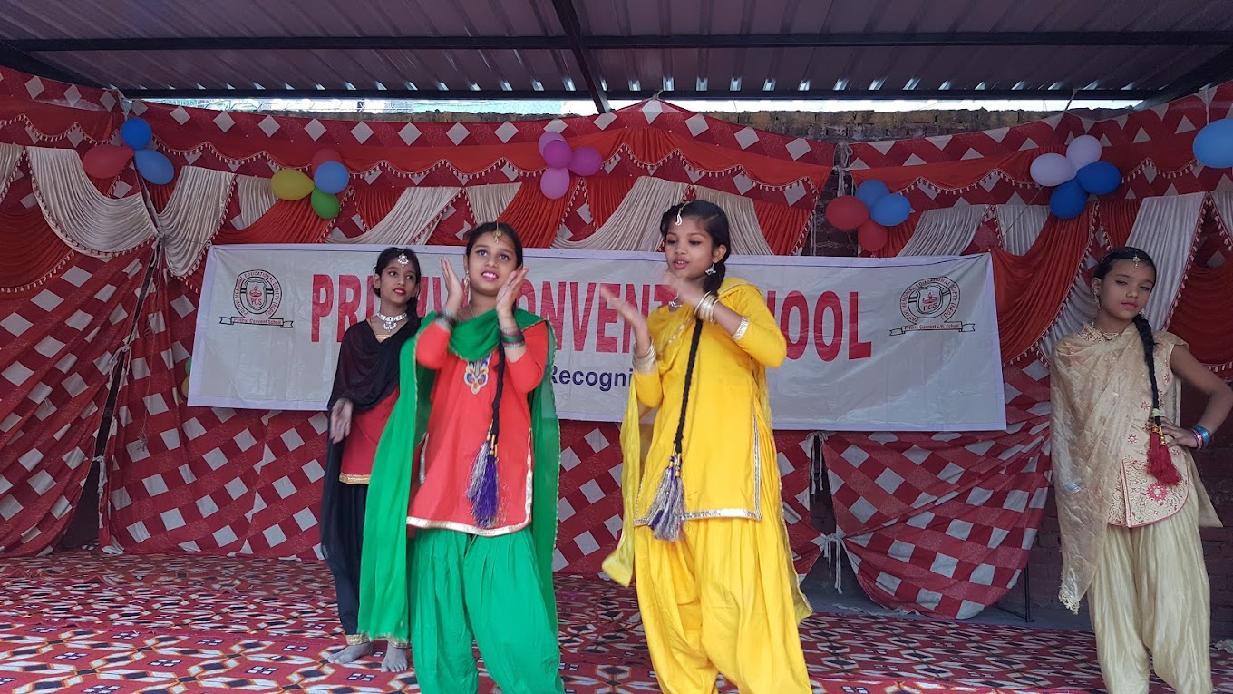 Prithvi Convent School 8
