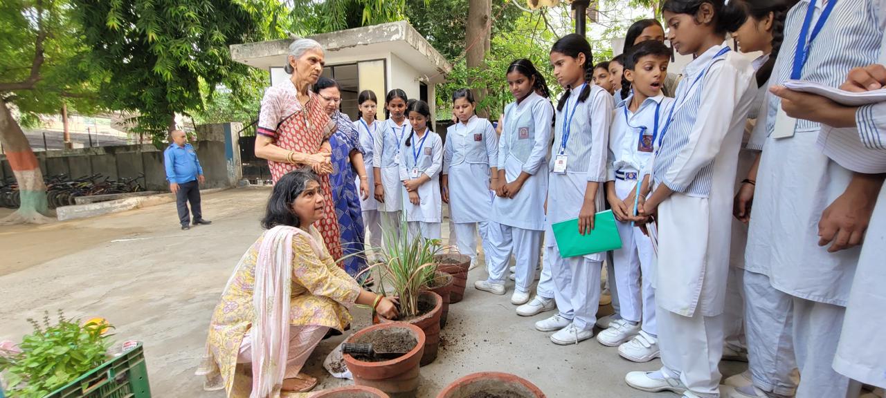 Saraswati Balika Vidya Mandir School 19