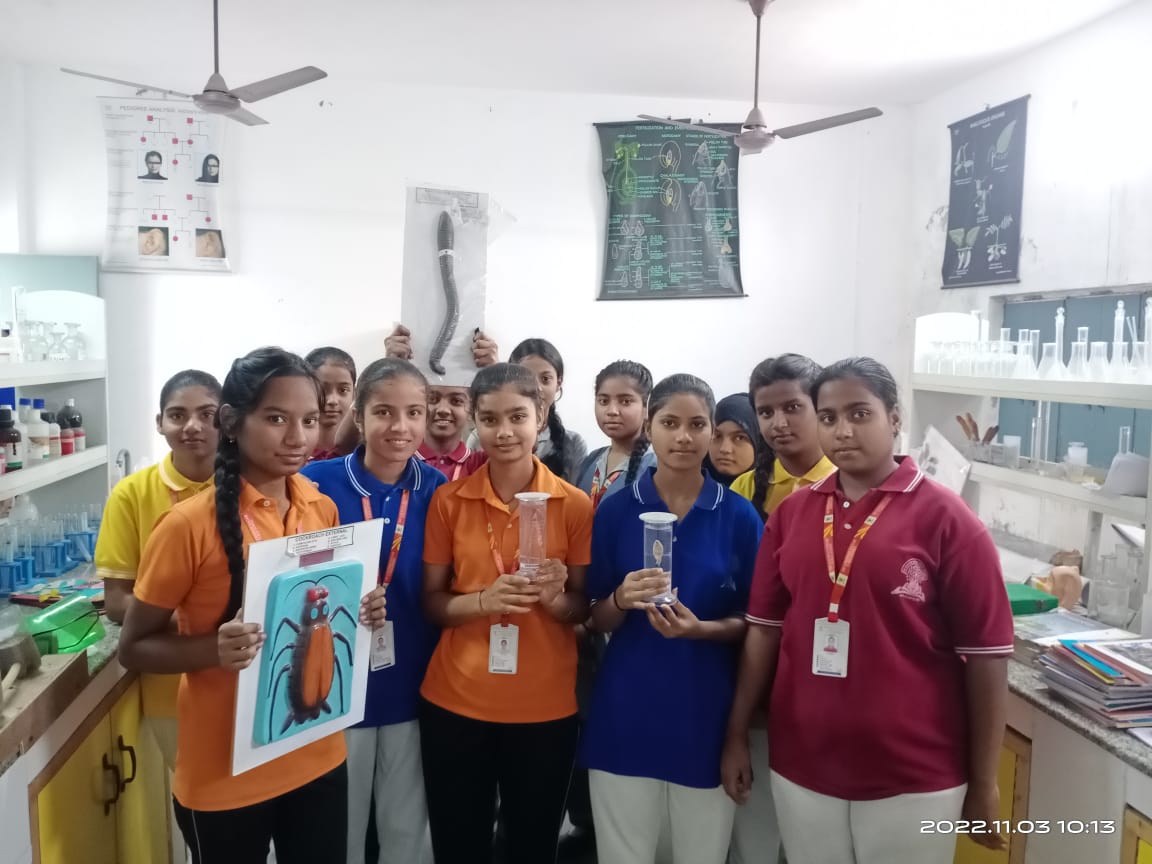 Sri Krishan Sagar Public School 10