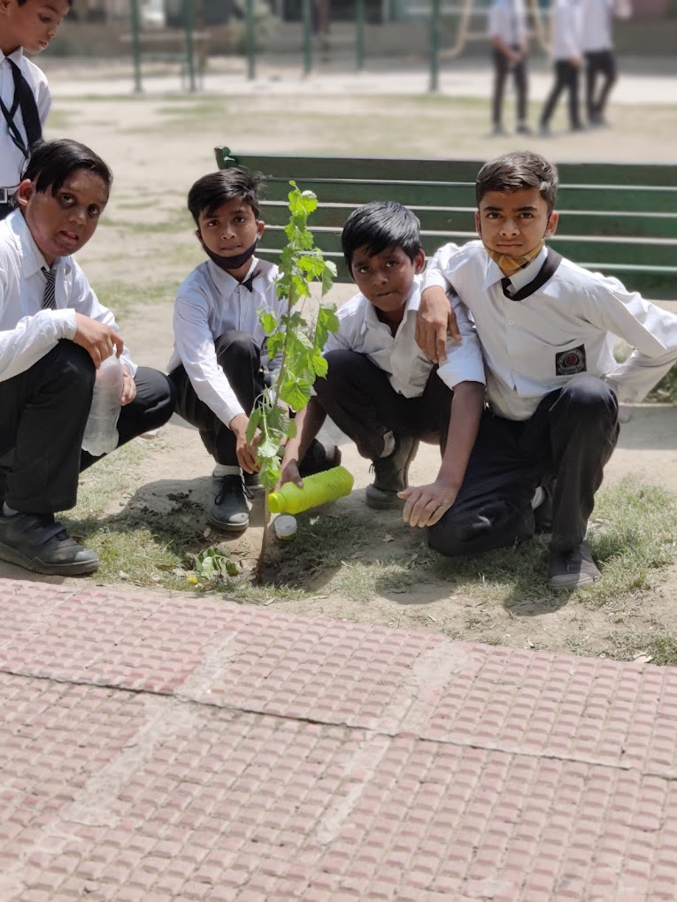 The Earth Paradise School 15