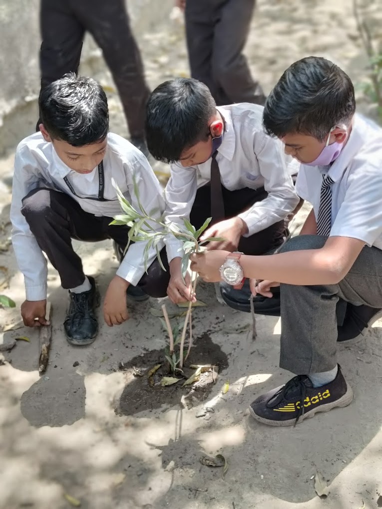 The Earth Paradise School 18