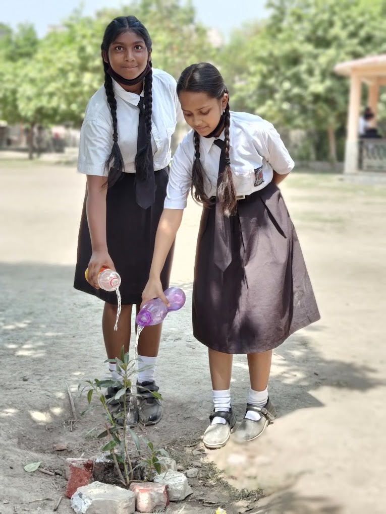 The Earth Paradise School 23