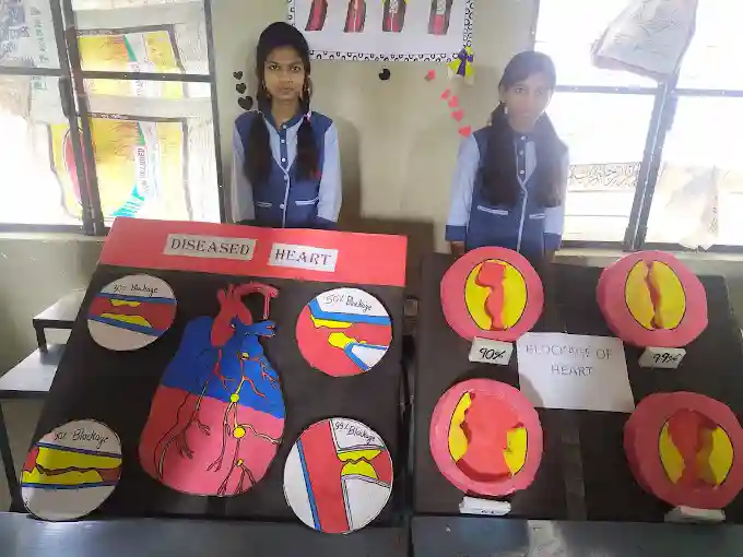 Vps Public School 4