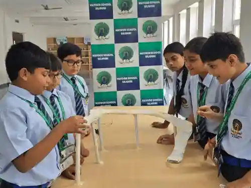 Mayoor School 2