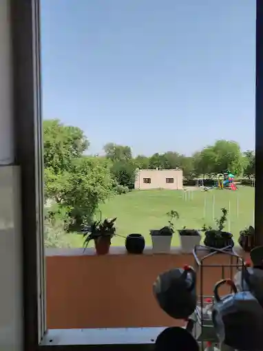The Rajasthan School 7