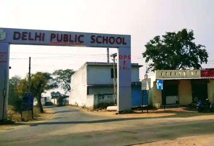 Delhi Public School 13