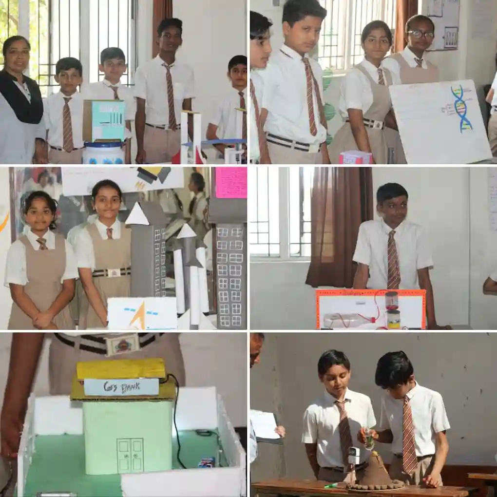 Shree Green Farm English School 4