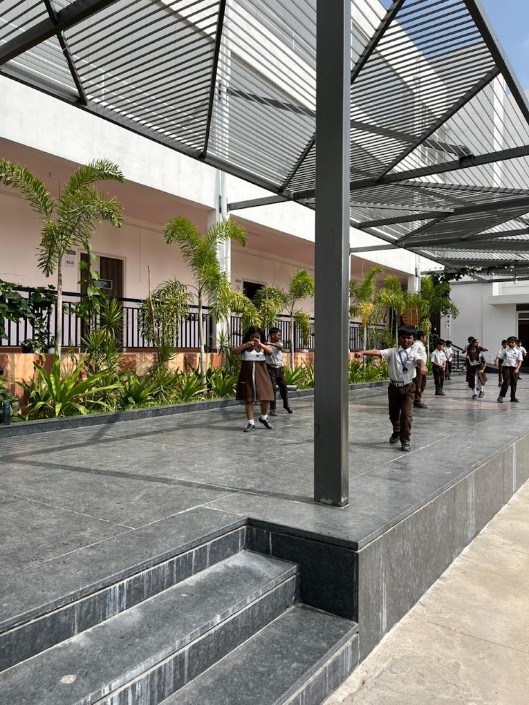 WisdomWood High 20