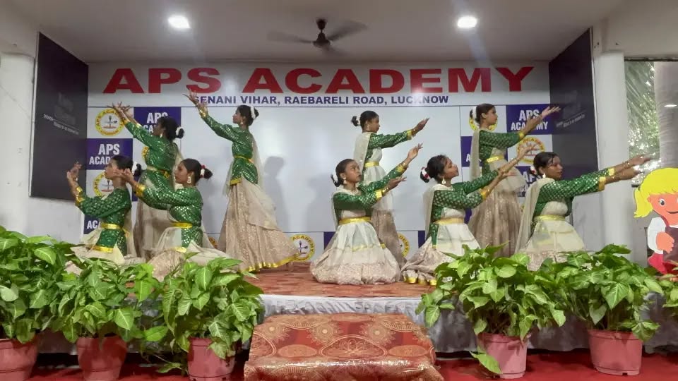 APS Academy 19