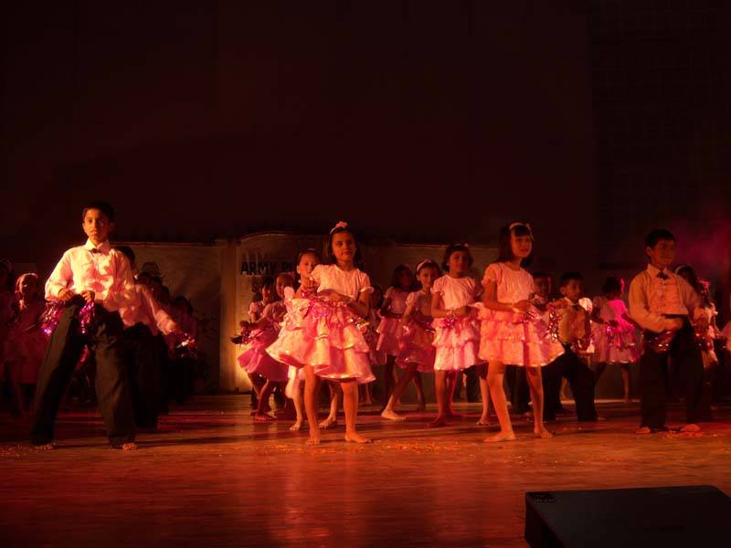 Army Public School  8