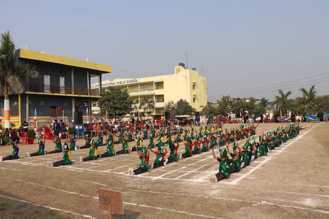 Bimla International Public School 18