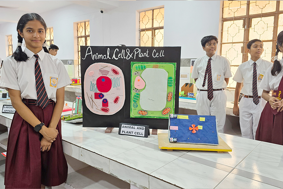 Central Academy 24