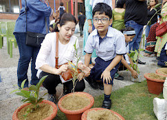City Montessori School 4