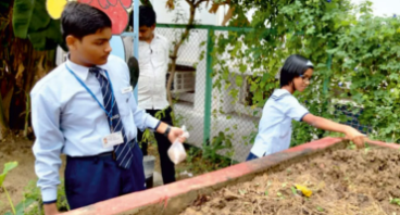 City Montessori School 4