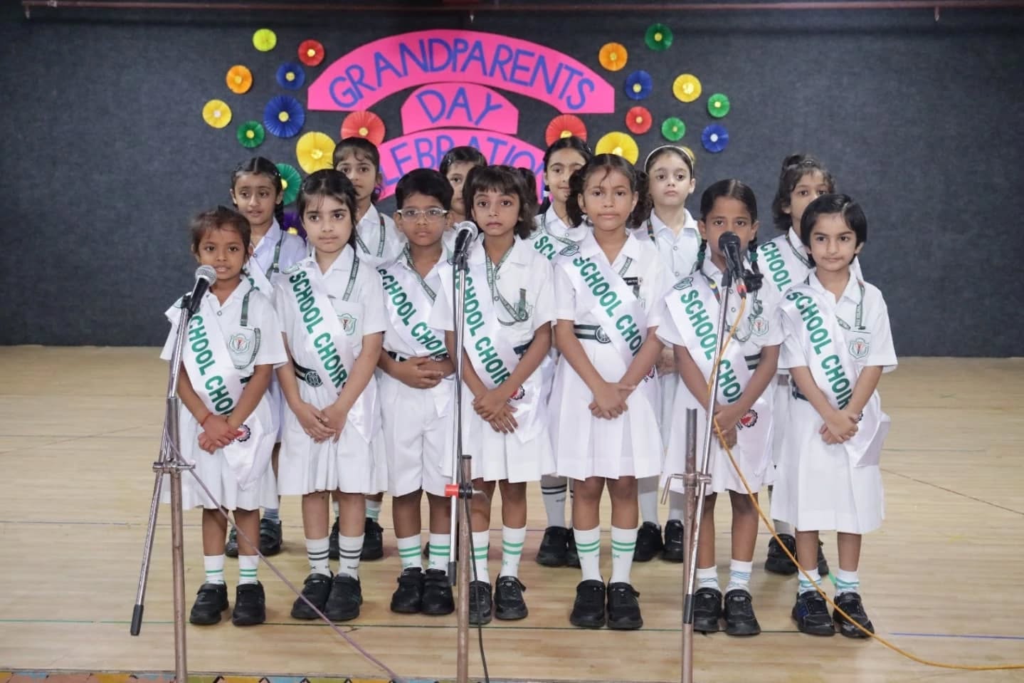 Delhi Public School 8